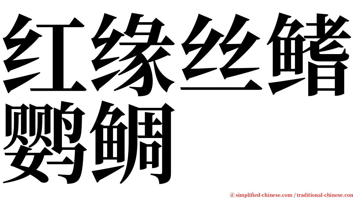 红缘丝鳍鹦鲷 serif font