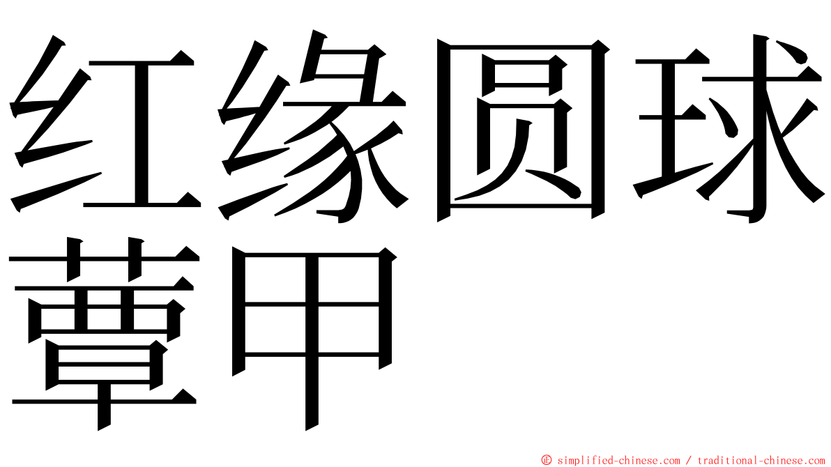 红缘圆球蕈甲 ming font