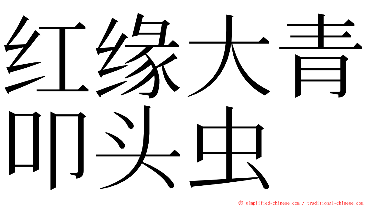 红缘大青叩头虫 ming font