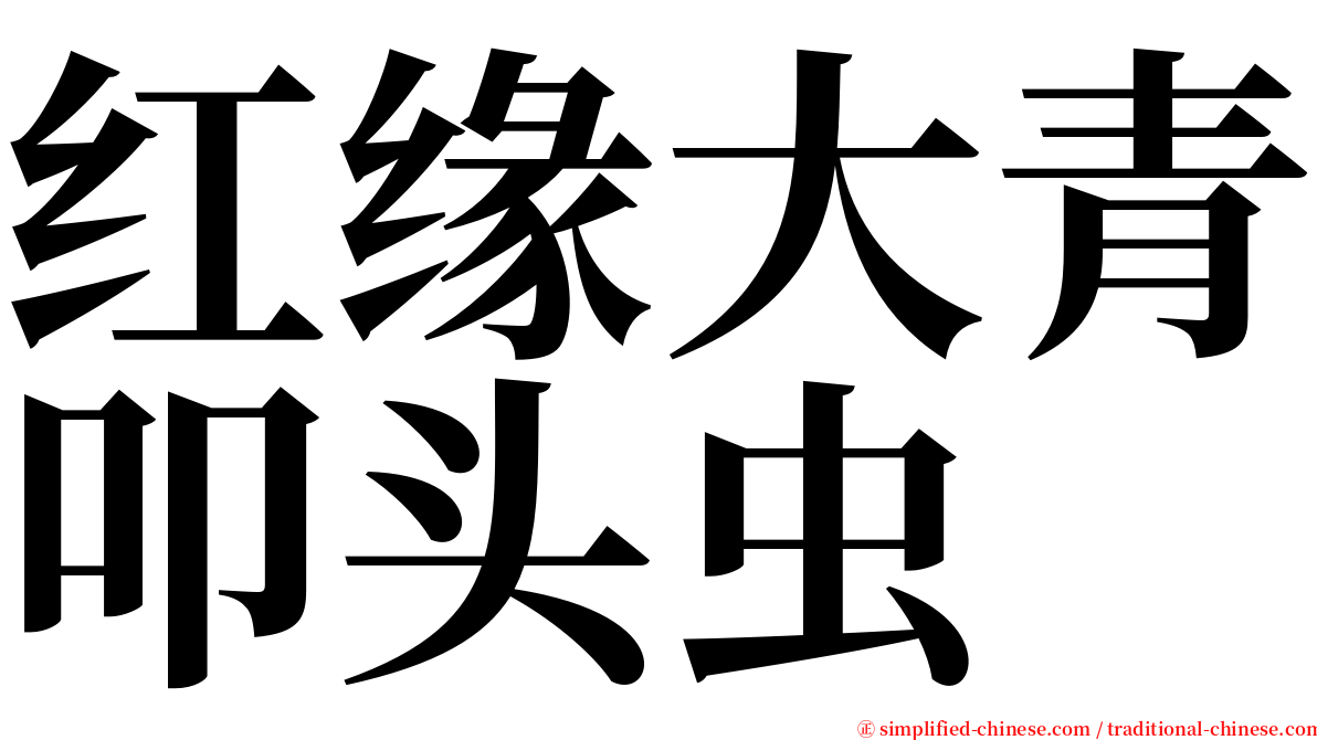 红缘大青叩头虫 serif font