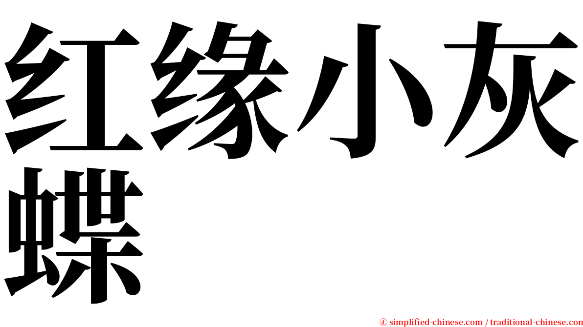 红缘小灰蝶 serif font