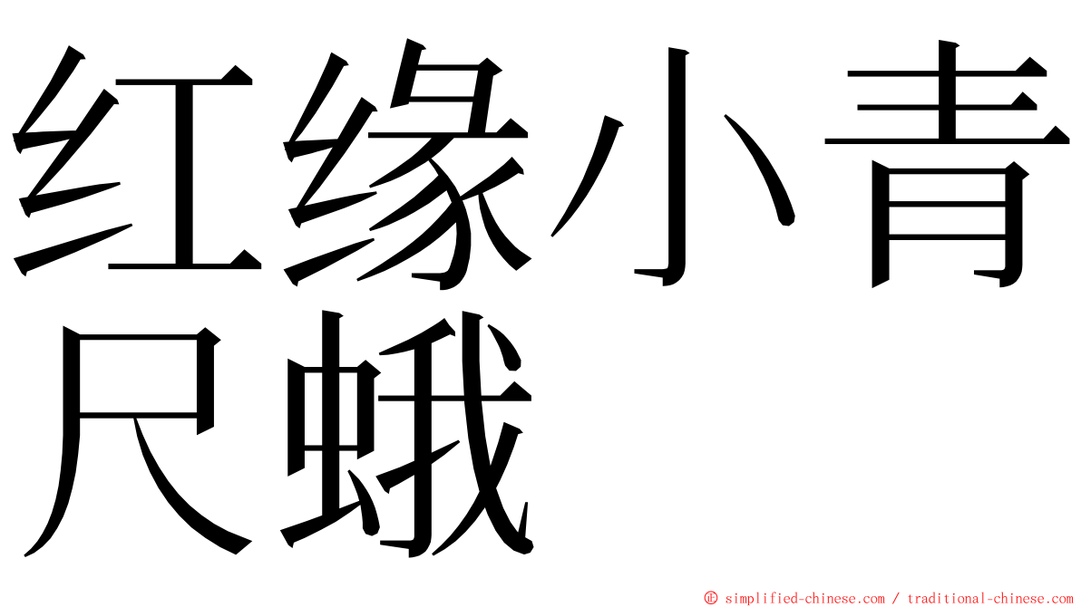 红缘小青尺蛾 ming font