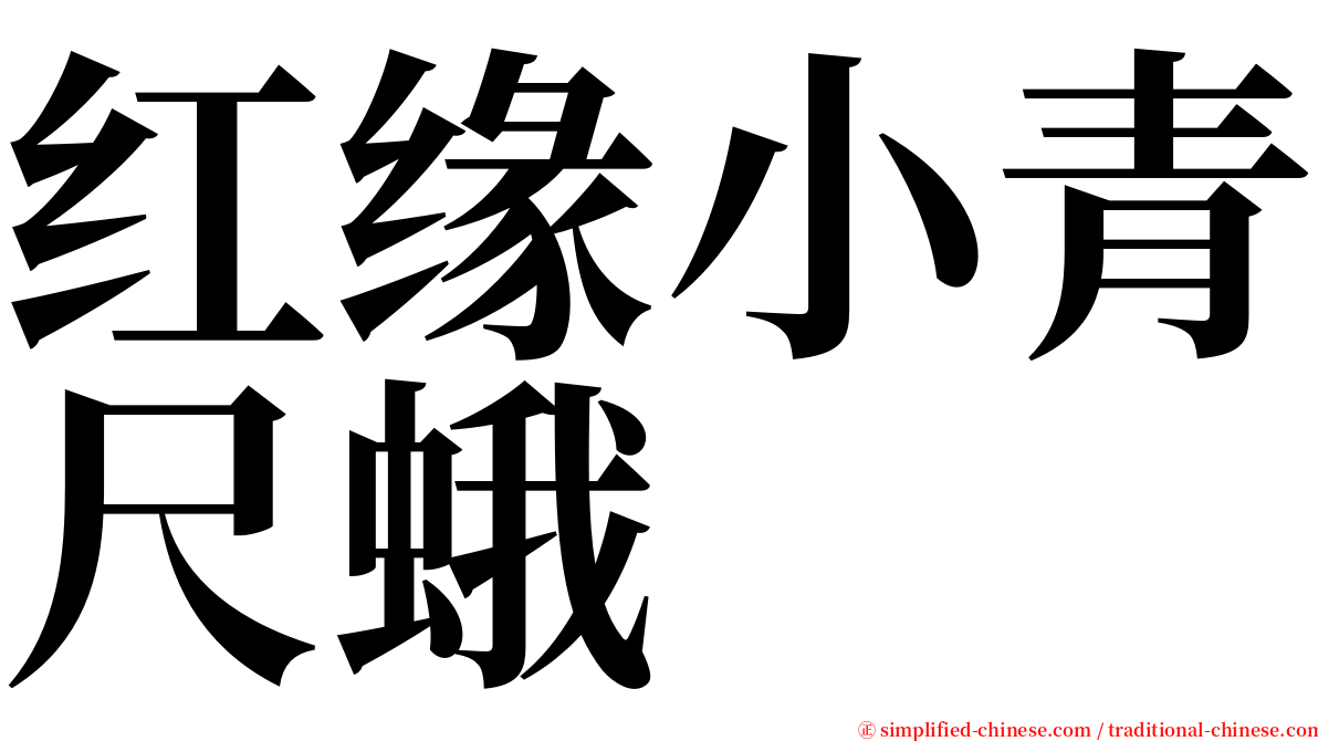 红缘小青尺蛾 serif font