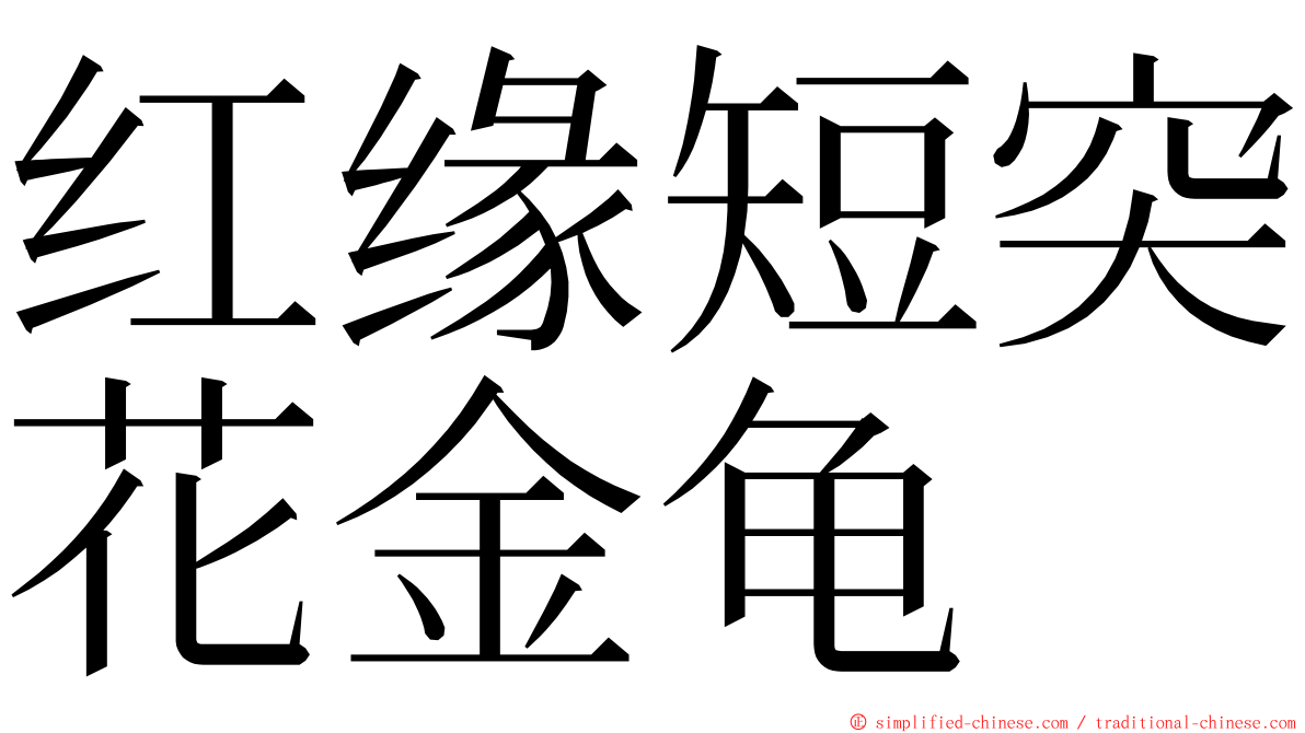 红缘短突花金龟 ming font