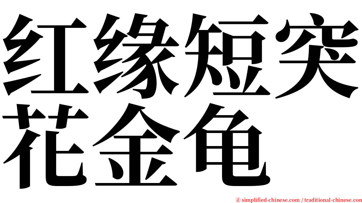 红缘短突花金龟 serif font