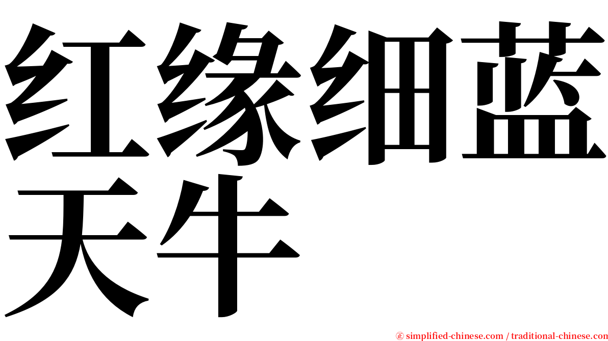 红缘细蓝天牛 serif font