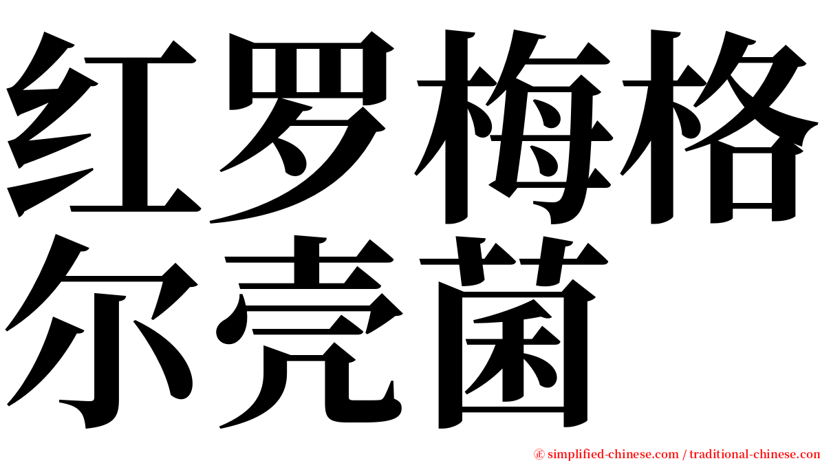 红罗梅格尔壳菌 serif font