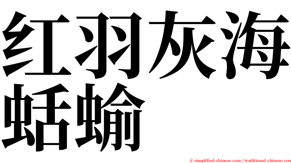 红羽灰海蛞蝓 serif font