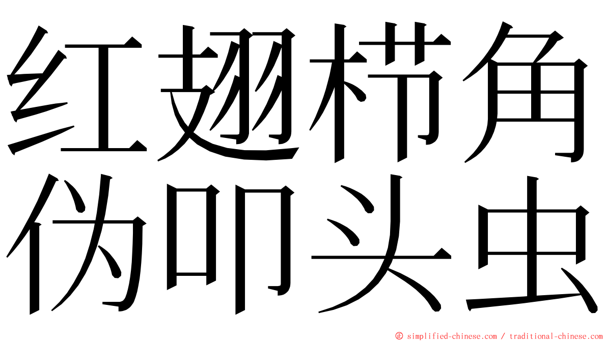 红翅栉角伪叩头虫 ming font