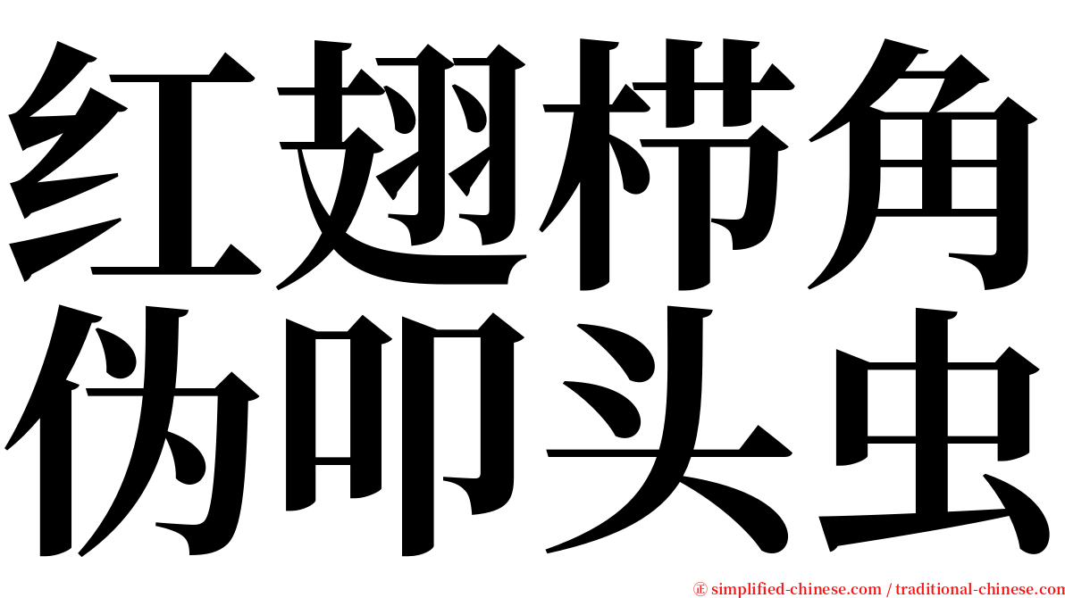 红翅栉角伪叩头虫 serif font