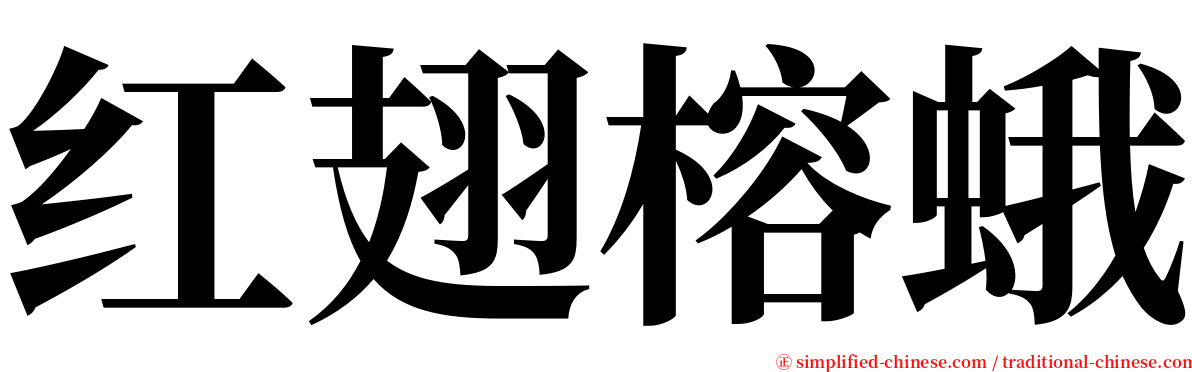 红翅榕蛾 serif font