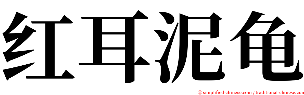 红耳泥龟 serif font