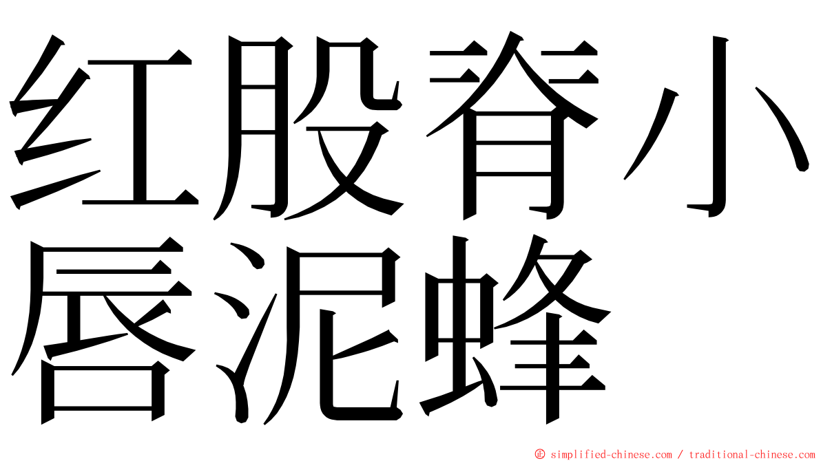 红股脊小唇泥蜂 ming font