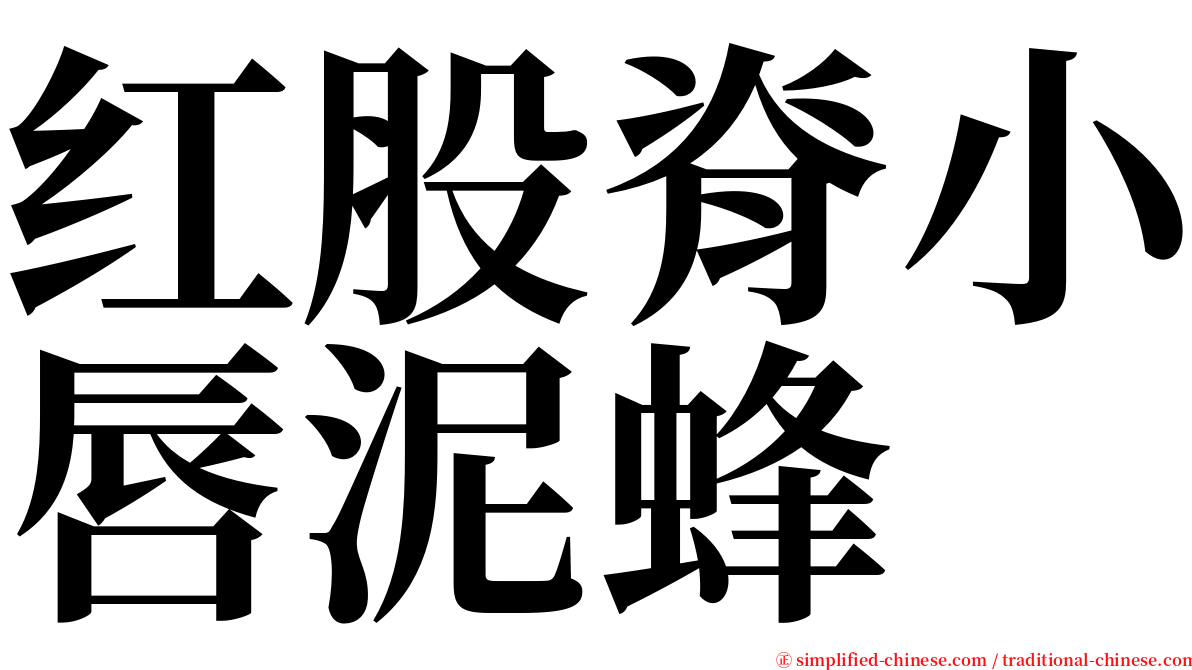 红股脊小唇泥蜂 serif font