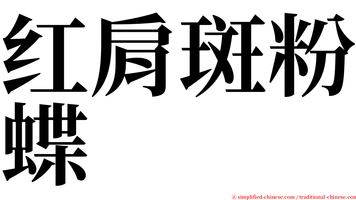 红肩斑粉蝶 serif font