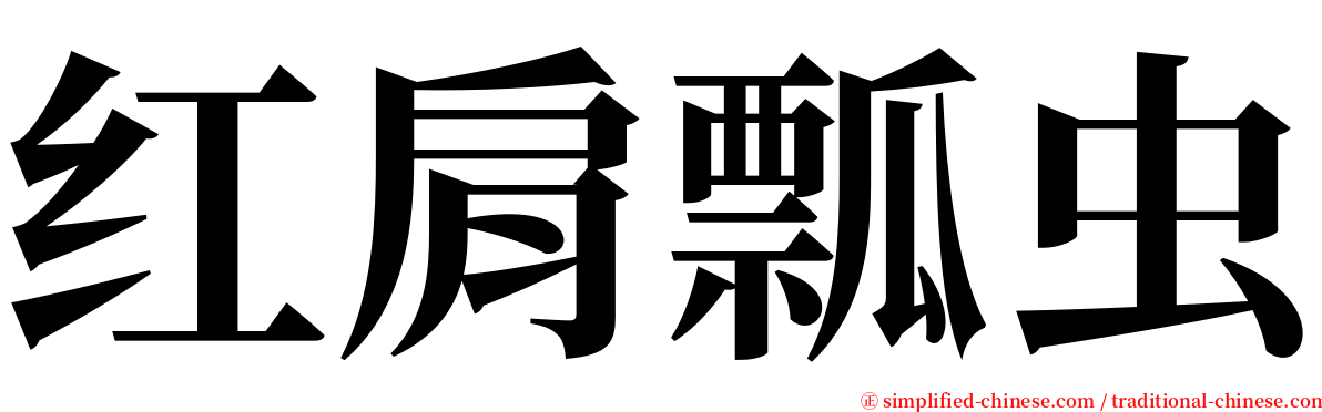 红肩瓢虫 serif font