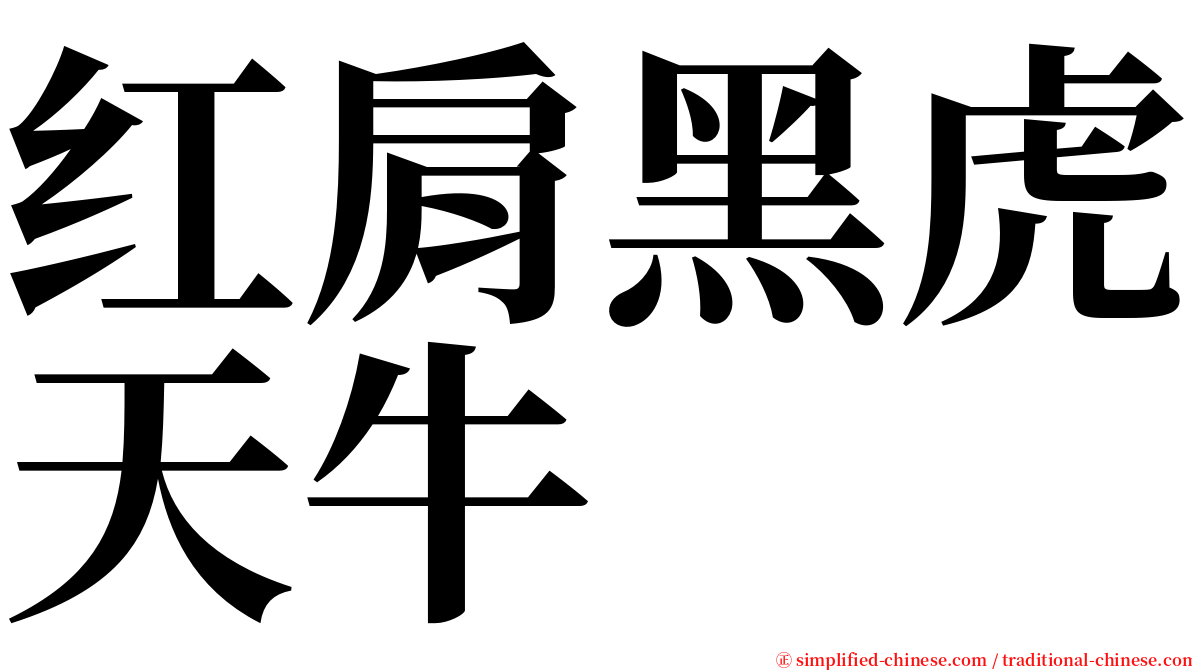 红肩黑虎天牛 serif font