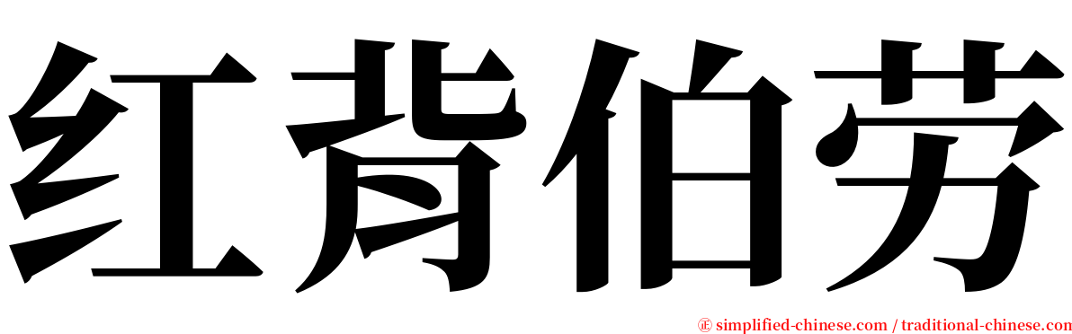 红背伯劳 serif font