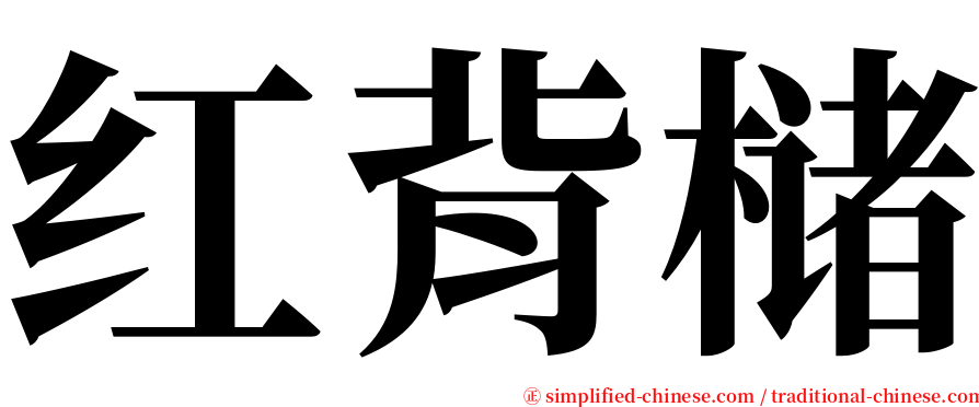 红背槠 serif font