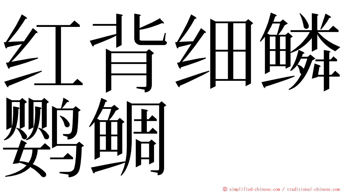 红背细鳞鹦鲷 ming font