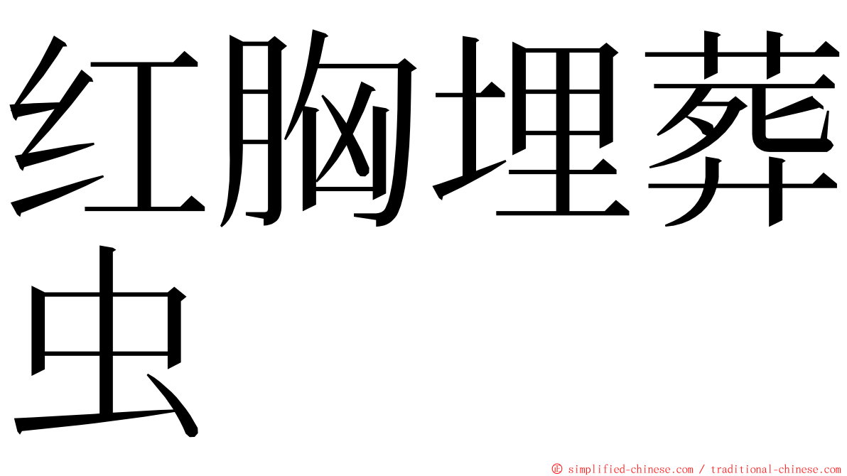 红胸埋葬虫 ming font