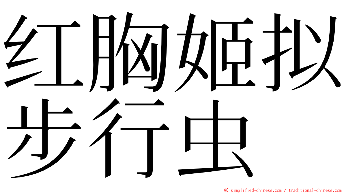 红胸姬拟步行虫 ming font