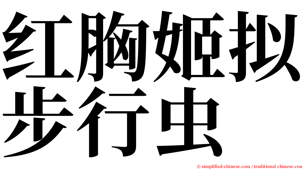 红胸姬拟步行虫 serif font