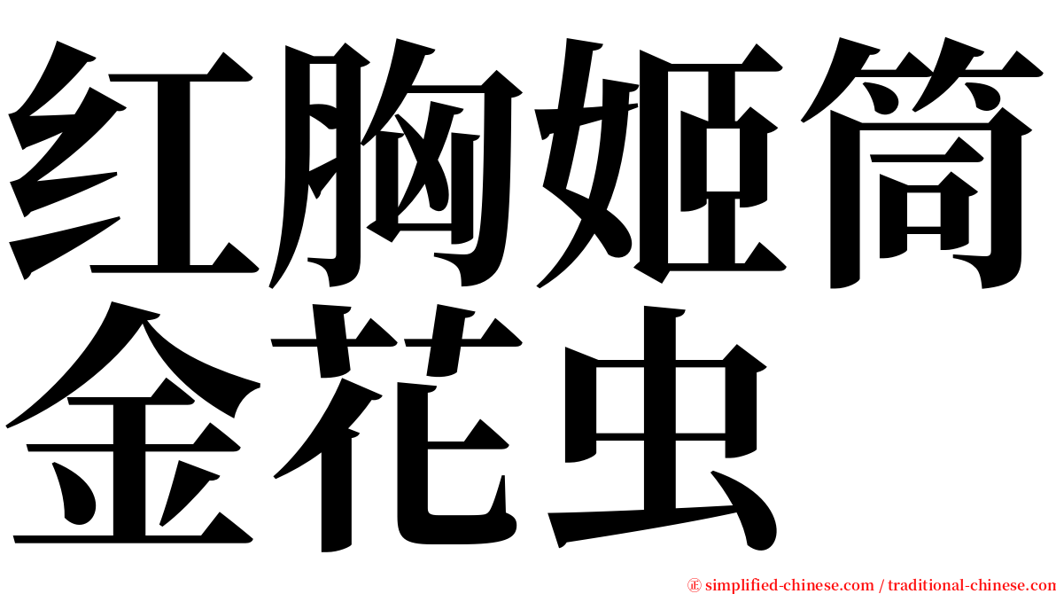 红胸姬筒金花虫 serif font