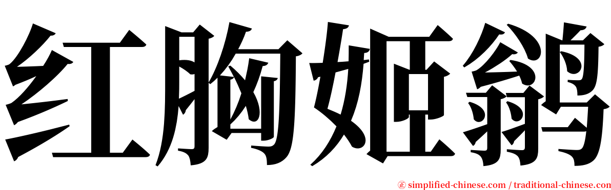 红胸姬鹟 serif font