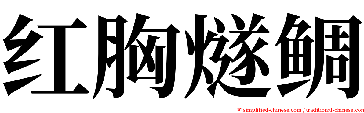 红胸燧鲷 serif font