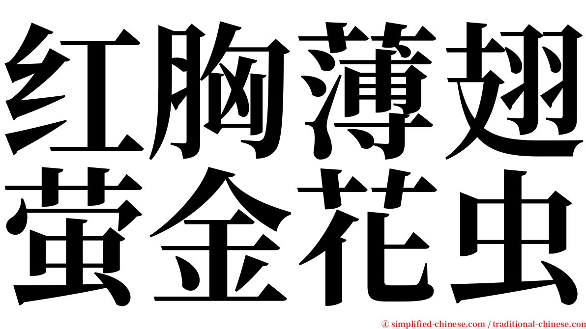 红胸薄翅萤金花虫 serif font