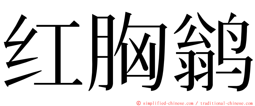 红胸鹟 ming font