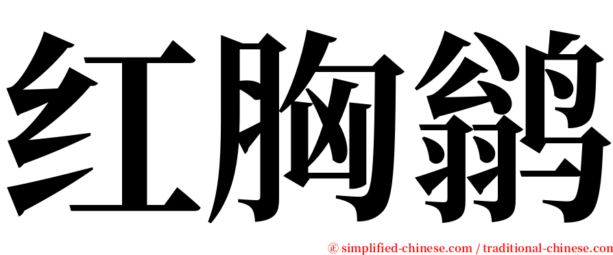 红胸鹟 serif font