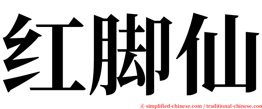 红脚仙 serif font