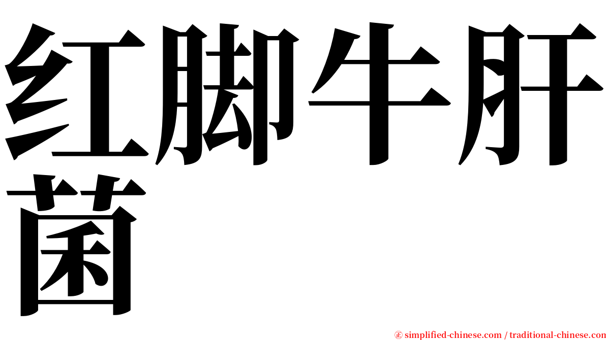 红脚牛肝菌 serif font