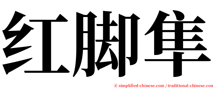 红脚隼 serif font