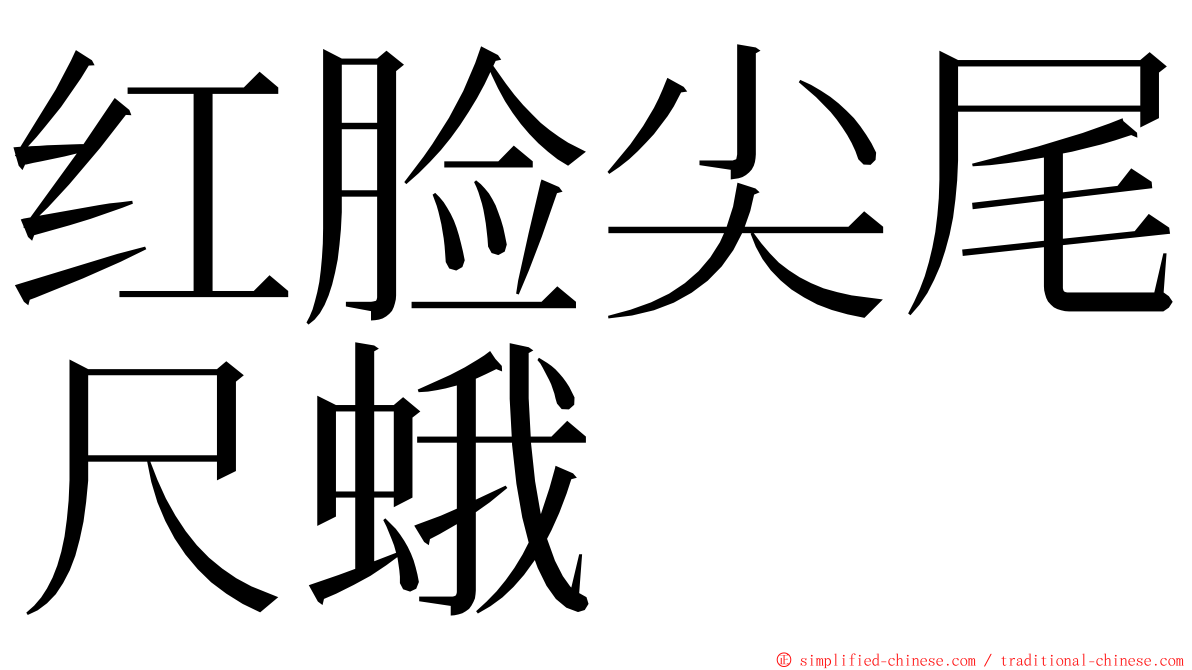 红脸尖尾尺蛾 ming font