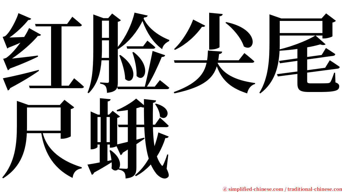 红脸尖尾尺蛾 serif font