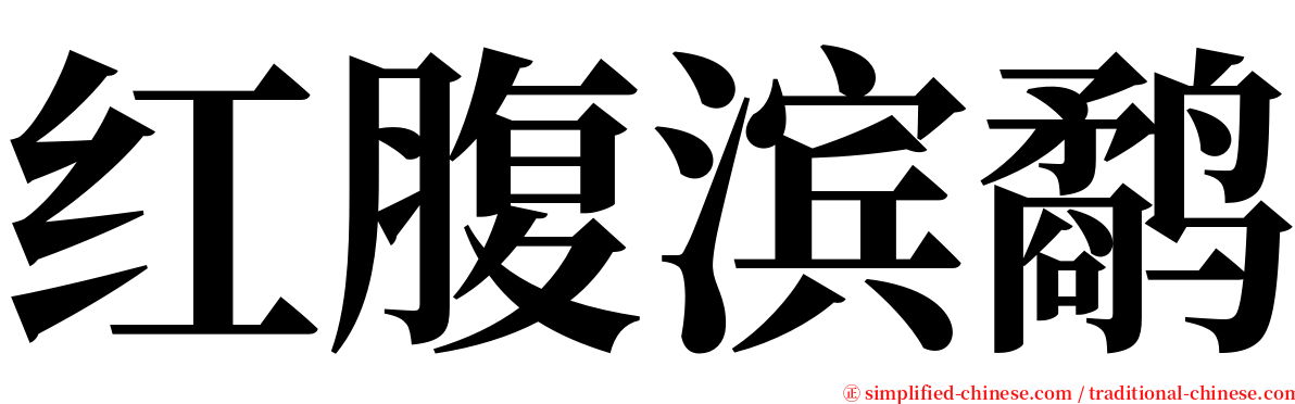 红腹滨鹬 serif font
