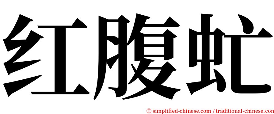 红腹虻 serif font