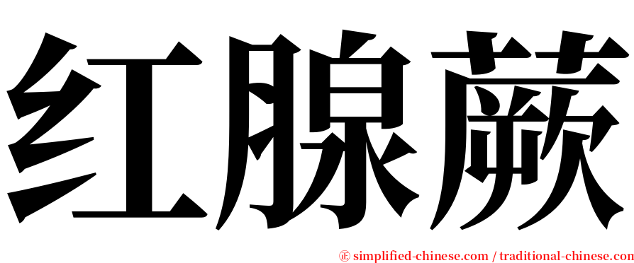 红腺蕨 serif font