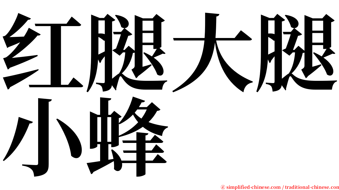 红腿大腿小蜂 serif font