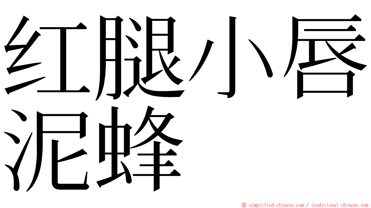 红腿小唇泥蜂 ming font