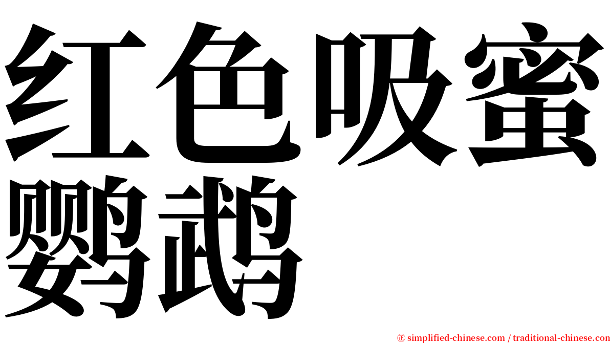 红色吸蜜鹦鹉 serif font