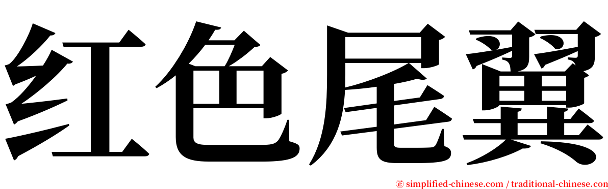 红色尾翼 serif font