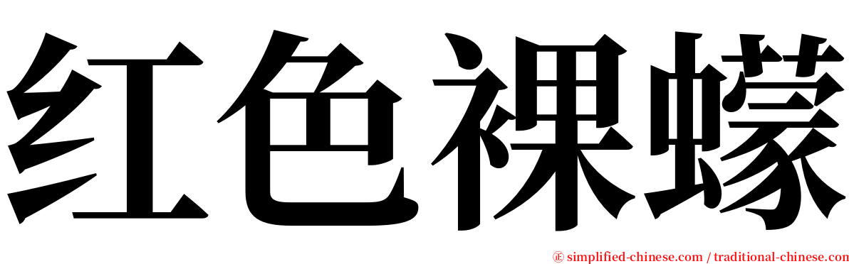 红色裸蠓 serif font