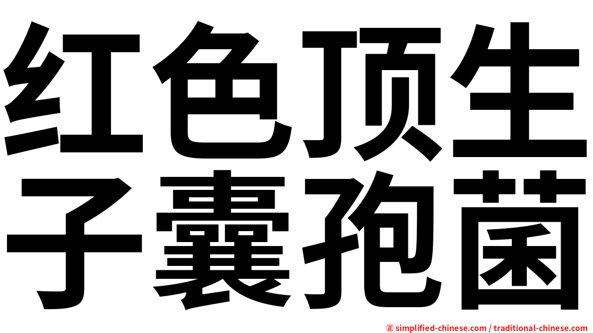 红色顶生子囊孢菌