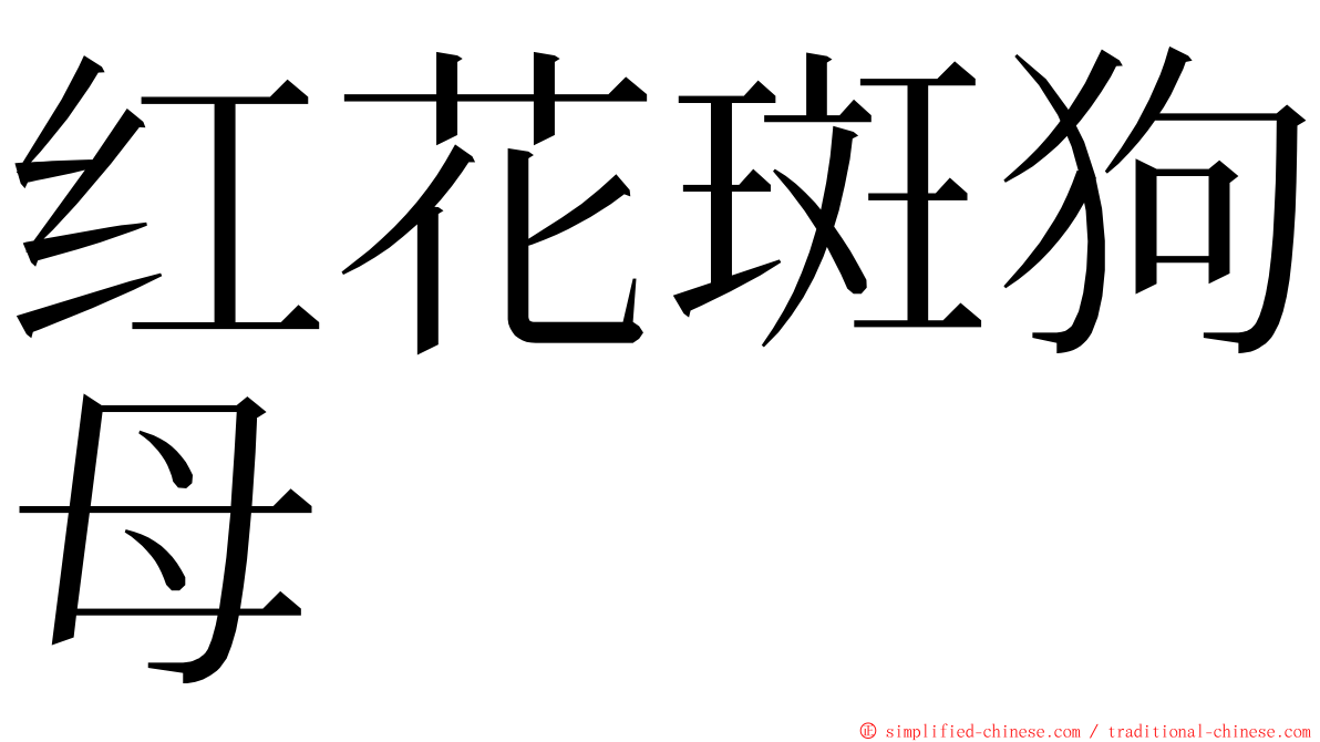 红花斑狗母 ming font