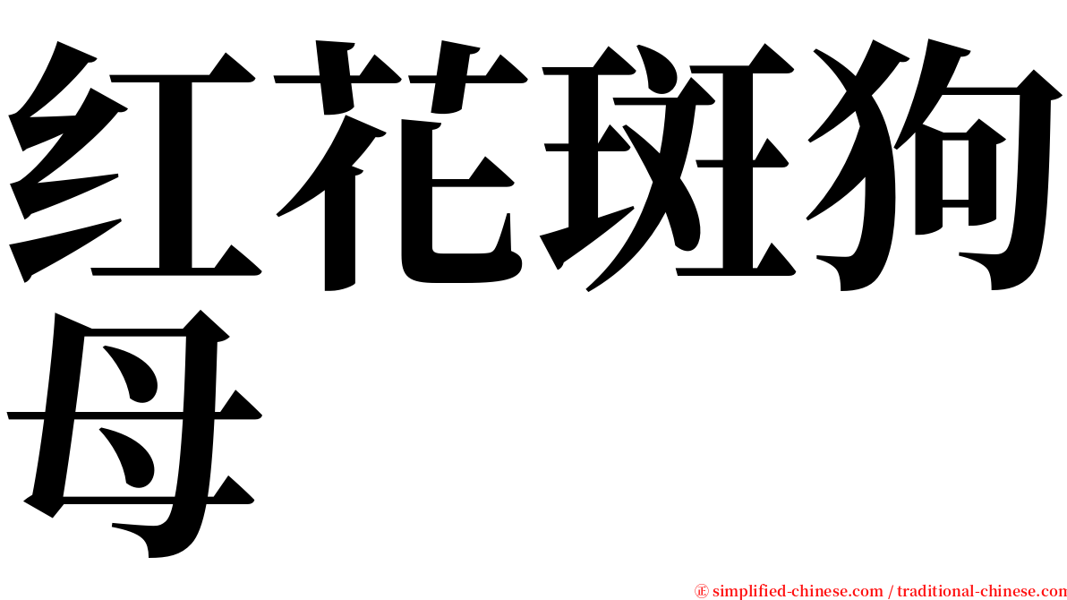 红花斑狗母 serif font