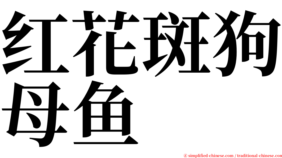 红花斑狗母鱼 serif font